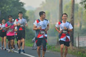 BIB: 2935, 215, 7747, 2040, 2096
                            <button type="button" onclick="openModal(6403768)" class="btn btn-primary btn-sm float-right btn-popup" data-toggle="modal" data-target=".modal-high-quality">
                        <i class="fas fa-shopping-cart"></i> Add to Cart
                    </button>
                                            <button type="button" onclick="isThisMe(6403768, true)" class="btn btn-success btn-sm float-right btn-popup btn-isme hidden" data-toggle="tooltip" data-placement="bottom" title="นี่คือรูปของคุณใช่ไหม คลิกที่นี่เพื่อเอาเข้าอัลบั้ม">
                        <i class="fas fa-plus"></i> Add to album
                    </button>
                    <button type="button" onclick="isThisMe(6403768, false)" class="btn btn-warning btn-sm float-right btn-popup btn-isnotme hidden">
                        <i class="fas fa-ban"></i> Remove from album
                    </button>