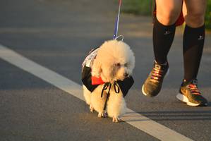 BIB: 
                            <button type="button" onclick="openModal(6402174)" class="btn btn-primary btn-sm float-right btn-popup" data-toggle="modal" data-target=".modal-high-quality">
                        <i class="fas fa-shopping-cart"></i> Add to Cart
                    </button>
                                            <button type="button" onclick="isThisMe(6402174, true)" class="btn btn-success btn-sm float-right btn-popup btn-isme hidden" data-toggle="tooltip" data-placement="bottom" title="นี่คือรูปของคุณใช่ไหม คลิกที่นี่เพื่อเอาเข้าอัลบั้ม">
                        <i class="fas fa-plus"></i> Add to album
                    </button>
                    <button type="button" onclick="isThisMe(6402174, false)" class="btn btn-warning btn-sm float-right btn-popup btn-isnotme hidden">
                        <i class="fas fa-ban"></i> Remove from album
                    </button>