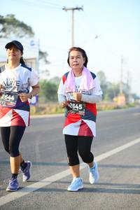 BIB: 2644, 2645
                            <button type="button" onclick="openModal(6464882)" class="btn btn-primary btn-sm float-right btn-popup" data-toggle="modal" data-target=".modal-high-quality">
                        <i class="fas fa-shopping-cart"></i> Add to Cart
                    </button>
                                            <button type="button" onclick="isThisMe(6464882, true)" class="btn btn-success btn-sm float-right btn-popup btn-isme hidden" data-toggle="tooltip" data-placement="bottom" title="นี่คือรูปของคุณใช่ไหม คลิกที่นี่เพื่อเอาเข้าอัลบั้ม">
                        <i class="fas fa-plus"></i> Add to album
                    </button>
                    <button type="button" onclick="isThisMe(6464882, false)" class="btn btn-warning btn-sm float-right btn-popup btn-isnotme hidden">
                        <i class="fas fa-ban"></i> Remove from album
                    </button>