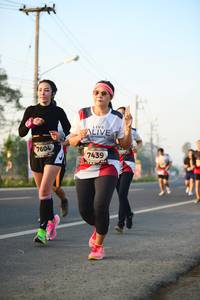 BIB: 7604, 7439
                            <button type="button" onclick="openModal(6458694)" class="btn btn-primary btn-sm float-right btn-popup" data-toggle="modal" data-target=".modal-high-quality">
                        <i class="fas fa-shopping-cart"></i> Add to Cart
                    </button>
                                            <button type="button" onclick="isThisMe(6458694, true)" class="btn btn-success btn-sm float-right btn-popup btn-isme hidden" data-toggle="tooltip" data-placement="bottom" title="นี่คือรูปของคุณใช่ไหม คลิกที่นี่เพื่อเอาเข้าอัลบั้ม">
                        <i class="fas fa-plus"></i> Add to album
                    </button>
                    <button type="button" onclick="isThisMe(6458694, false)" class="btn btn-warning btn-sm float-right btn-popup btn-isnotme hidden">
                        <i class="fas fa-ban"></i> Remove from album
                    </button>