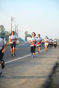 BIB: 
                            <button type="button" onclick="openModal(6459903)" class="btn btn-primary btn-sm float-right btn-popup" data-toggle="modal" data-target=".modal-high-quality">
                        <i class="fas fa-shopping-cart"></i> Add to Cart
                    </button>
                                            <button type="button" onclick="isThisMe(6459903, true)" class="btn btn-success btn-sm float-right btn-popup btn-isme hidden" data-toggle="tooltip" data-placement="bottom" title="นี่คือรูปของคุณใช่ไหม คลิกที่นี่เพื่อเอาเข้าอัลบั้ม">
                        <i class="fas fa-plus"></i> Add to album
                    </button>
                    <button type="button" onclick="isThisMe(6459903, false)" class="btn btn-warning btn-sm float-right btn-popup btn-isnotme hidden">
                        <i class="fas fa-ban"></i> Remove from album
                    </button>