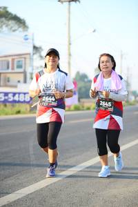 BIB: 5488, 2644, 2645
                            <button type="button" onclick="openModal(6464879)" class="btn btn-primary btn-sm float-right btn-popup" data-toggle="modal" data-target=".modal-high-quality">
                        <i class="fas fa-shopping-cart"></i> Add to Cart
                    </button>
                                            <button type="button" onclick="isThisMe(6464879, true)" class="btn btn-success btn-sm float-right btn-popup btn-isme hidden" data-toggle="tooltip" data-placement="bottom" title="นี่คือรูปของคุณใช่ไหม คลิกที่นี่เพื่อเอาเข้าอัลบั้ม">
                        <i class="fas fa-plus"></i> Add to album
                    </button>
                    <button type="button" onclick="isThisMe(6464879, false)" class="btn btn-warning btn-sm float-right btn-popup btn-isnotme hidden">
                        <i class="fas fa-ban"></i> Remove from album
                    </button>