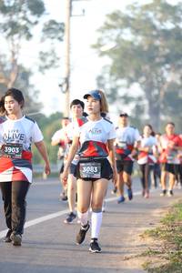 BIB: 3903, 3083
                            <button type="button" onclick="openModal(6513995)" class="btn btn-primary btn-sm float-right btn-popup" data-toggle="modal" data-target=".modal-high-quality">
                        <i class="fas fa-shopping-cart"></i> Add to Cart
                    </button>
                                            <button type="button" onclick="isThisMe(6513995, true)" class="btn btn-success btn-sm float-right btn-popup btn-isme hidden" data-toggle="tooltip" data-placement="bottom" title="นี่คือรูปของคุณใช่ไหม คลิกที่นี่เพื่อเอาเข้าอัลบั้ม">
                        <i class="fas fa-plus"></i> Add to album
                    </button>
                    <button type="button" onclick="isThisMe(6513995, false)" class="btn btn-warning btn-sm float-right btn-popup btn-isnotme hidden">
                        <i class="fas fa-ban"></i> Remove from album
                    </button>