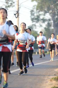 BIB: 6461
                            <button type="button" onclick="openModal(6513858)" class="btn btn-primary btn-sm float-right btn-popup" data-toggle="modal" data-target=".modal-high-quality">
                        <i class="fas fa-shopping-cart"></i> Add to Cart
                    </button>
                                            <button type="button" onclick="isThisMe(6513858, true)" class="btn btn-success btn-sm float-right btn-popup btn-isme hidden" data-toggle="tooltip" data-placement="bottom" title="นี่คือรูปของคุณใช่ไหม คลิกที่นี่เพื่อเอาเข้าอัลบั้ม">
                        <i class="fas fa-plus"></i> Add to album
                    </button>
                    <button type="button" onclick="isThisMe(6513858, false)" class="btn btn-warning btn-sm float-right btn-popup btn-isnotme hidden">
                        <i class="fas fa-ban"></i> Remove from album
                    </button>