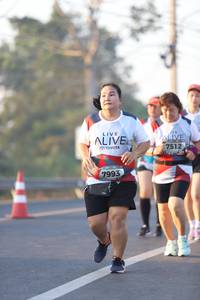 BIB: 7512, 7993
                            <button type="button" onclick="openModal(6513826)" class="btn btn-primary btn-sm float-right btn-popup" data-toggle="modal" data-target=".modal-high-quality">
                        <i class="fas fa-shopping-cart"></i> Add to Cart
                    </button>
                                            <button type="button" onclick="isThisMe(6513826, true)" class="btn btn-success btn-sm float-right btn-popup btn-isme hidden" data-toggle="tooltip" data-placement="bottom" title="นี่คือรูปของคุณใช่ไหม คลิกที่นี่เพื่อเอาเข้าอัลบั้ม">
                        <i class="fas fa-plus"></i> Add to album
                    </button>
                    <button type="button" onclick="isThisMe(6513826, false)" class="btn btn-warning btn-sm float-right btn-popup btn-isnotme hidden">
                        <i class="fas fa-ban"></i> Remove from album
                    </button>