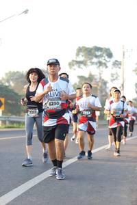 BIB: 6230, 7201, 2952
                            <button type="button" onclick="openModal(6514099)" class="btn btn-primary btn-sm float-right btn-popup" data-toggle="modal" data-target=".modal-high-quality">
                        <i class="fas fa-shopping-cart"></i> Add to Cart
                    </button>
                                            <button type="button" onclick="isThisMe(6514099, true)" class="btn btn-success btn-sm float-right btn-popup btn-isme hidden" data-toggle="tooltip" data-placement="bottom" title="นี่คือรูปของคุณใช่ไหม คลิกที่นี่เพื่อเอาเข้าอัลบั้ม">
                        <i class="fas fa-plus"></i> Add to album
                    </button>
                    <button type="button" onclick="isThisMe(6514099, false)" class="btn btn-warning btn-sm float-right btn-popup btn-isnotme hidden">
                        <i class="fas fa-ban"></i> Remove from album
                    </button>