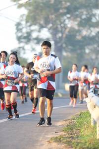 BIB: 6529
                            <button type="button" onclick="openModal(6513724)" class="btn btn-primary btn-sm float-right btn-popup" data-toggle="modal" data-target=".modal-high-quality">
                        <i class="fas fa-shopping-cart"></i> Add to Cart
                    </button>
                                            <button type="button" onclick="isThisMe(6513724, true)" class="btn btn-success btn-sm float-right btn-popup btn-isme hidden" data-toggle="tooltip" data-placement="bottom" title="นี่คือรูปของคุณใช่ไหม คลิกที่นี่เพื่อเอาเข้าอัลบั้ม">
                        <i class="fas fa-plus"></i> Add to album
                    </button>
                    <button type="button" onclick="isThisMe(6513724, false)" class="btn btn-warning btn-sm float-right btn-popup btn-isnotme hidden">
                        <i class="fas fa-ban"></i> Remove from album
                    </button>