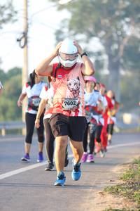 BIB: 7602
                            <button type="button" onclick="openModal(6514040)" class="btn btn-primary btn-sm float-right btn-popup" data-toggle="modal" data-target=".modal-high-quality">
                        <i class="fas fa-shopping-cart"></i> Add to Cart
                    </button>
                                            <button type="button" onclick="isThisMe(6514040, true)" class="btn btn-success btn-sm float-right btn-popup btn-isme hidden" data-toggle="tooltip" data-placement="bottom" title="นี่คือรูปของคุณใช่ไหม คลิกที่นี่เพื่อเอาเข้าอัลบั้ม">
                        <i class="fas fa-plus"></i> Add to album
                    </button>
                    <button type="button" onclick="isThisMe(6514040, false)" class="btn btn-warning btn-sm float-right btn-popup btn-isnotme hidden">
                        <i class="fas fa-ban"></i> Remove from album
                    </button>