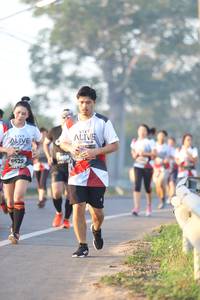 BIB: 6529
                            <button type="button" onclick="openModal(6513730)" class="btn btn-primary btn-sm float-right btn-popup" data-toggle="modal" data-target=".modal-high-quality">
                        <i class="fas fa-shopping-cart"></i> Add to Cart
                    </button>
                                            <button type="button" onclick="isThisMe(6513730, true)" class="btn btn-success btn-sm float-right btn-popup btn-isme hidden" data-toggle="tooltip" data-placement="bottom" title="นี่คือรูปของคุณใช่ไหม คลิกที่นี่เพื่อเอาเข้าอัลบั้ม">
                        <i class="fas fa-plus"></i> Add to album
                    </button>
                    <button type="button" onclick="isThisMe(6513730, false)" class="btn btn-warning btn-sm float-right btn-popup btn-isnotme hidden">
                        <i class="fas fa-ban"></i> Remove from album
                    </button>