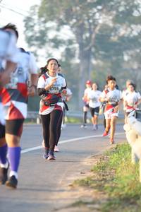 BIB: 6755
                            <button type="button" onclick="openModal(6513781)" class="btn btn-primary btn-sm float-right btn-popup" data-toggle="modal" data-target=".modal-high-quality">
                        <i class="fas fa-shopping-cart"></i> Add to Cart
                    </button>
                                            <button type="button" onclick="isThisMe(6513781, true)" class="btn btn-success btn-sm float-right btn-popup btn-isme hidden" data-toggle="tooltip" data-placement="bottom" title="นี่คือรูปของคุณใช่ไหม คลิกที่นี่เพื่อเอาเข้าอัลบั้ม">
                        <i class="fas fa-plus"></i> Add to album
                    </button>
                    <button type="button" onclick="isThisMe(6513781, false)" class="btn btn-warning btn-sm float-right btn-popup btn-isnotme hidden">
                        <i class="fas fa-ban"></i> Remove from album
                    </button>