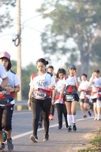 BIB: 7485, 383
                            <button type="button" onclick="openModal(6513981)" class="btn btn-primary btn-sm float-right btn-popup" data-toggle="modal" data-target=".modal-high-quality">
                        <i class="fas fa-shopping-cart"></i> Add to Cart
                    </button>
                                            <button type="button" onclick="isThisMe(6513981, true)" class="btn btn-success btn-sm float-right btn-popup btn-isme hidden" data-toggle="tooltip" data-placement="bottom" title="นี่คือรูปของคุณใช่ไหม คลิกที่นี่เพื่อเอาเข้าอัลบั้ม">
                        <i class="fas fa-plus"></i> Add to album
                    </button>
                    <button type="button" onclick="isThisMe(6513981, false)" class="btn btn-warning btn-sm float-right btn-popup btn-isnotme hidden">
                        <i class="fas fa-ban"></i> Remove from album
                    </button>