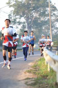 BIB: 
                            <button type="button" onclick="openModal(6513465)" class="btn btn-primary btn-sm float-right btn-popup" data-toggle="modal" data-target=".modal-high-quality">
                        <i class="fas fa-shopping-cart"></i> Add to Cart
                    </button>
                                            <button type="button" onclick="isThisMe(6513465, true)" class="btn btn-success btn-sm float-right btn-popup btn-isme hidden" data-toggle="tooltip" data-placement="bottom" title="นี่คือรูปของคุณใช่ไหม คลิกที่นี่เพื่อเอาเข้าอัลบั้ม">
                        <i class="fas fa-plus"></i> Add to album
                    </button>
                    <button type="button" onclick="isThisMe(6513465, false)" class="btn btn-warning btn-sm float-right btn-popup btn-isnotme hidden">
                        <i class="fas fa-ban"></i> Remove from album
                    </button>