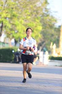 BIB: 385
                            <button type="button" onclick="openModal(6514569)" class="btn btn-primary btn-sm float-right btn-popup" data-toggle="modal" data-target=".modal-high-quality">
                        <i class="fas fa-shopping-cart"></i> Add to Cart
                    </button>
                                            <button type="button" onclick="isThisMe(6514569, true)" class="btn btn-success btn-sm float-right btn-popup btn-isme hidden" data-toggle="tooltip" data-placement="bottom" title="นี่คือรูปของคุณใช่ไหม คลิกที่นี่เพื่อเอาเข้าอัลบั้ม">
                        <i class="fas fa-plus"></i> Add to album
                    </button>
                    <button type="button" onclick="isThisMe(6514569, false)" class="btn btn-warning btn-sm float-right btn-popup btn-isnotme hidden">
                        <i class="fas fa-ban"></i> Remove from album
                    </button>