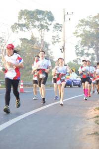 BIB: 
                            <button type="button" onclick="openModal(6513302)" class="btn btn-primary btn-sm float-right btn-popup" data-toggle="modal" data-target=".modal-high-quality">
                        <i class="fas fa-shopping-cart"></i> Add to Cart
                    </button>
                                            <button type="button" onclick="isThisMe(6513302, true)" class="btn btn-success btn-sm float-right btn-popup btn-isme hidden" data-toggle="tooltip" data-placement="bottom" title="นี่คือรูปของคุณใช่ไหม คลิกที่นี่เพื่อเอาเข้าอัลบั้ม">
                        <i class="fas fa-plus"></i> Add to album
                    </button>
                    <button type="button" onclick="isThisMe(6513302, false)" class="btn btn-warning btn-sm float-right btn-popup btn-isnotme hidden">
                        <i class="fas fa-ban"></i> Remove from album
                    </button>