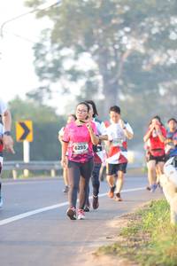 BIB: 6293
                            <button type="button" onclick="openModal(6513334)" class="btn btn-primary btn-sm float-right btn-popup" data-toggle="modal" data-target=".modal-high-quality">
                        <i class="fas fa-shopping-cart"></i> Add to Cart
                    </button>
                                            <button type="button" onclick="isThisMe(6513334, true)" class="btn btn-success btn-sm float-right btn-popup btn-isme hidden" data-toggle="tooltip" data-placement="bottom" title="นี่คือรูปของคุณใช่ไหม คลิกที่นี่เพื่อเอาเข้าอัลบั้ม">
                        <i class="fas fa-plus"></i> Add to album
                    </button>
                    <button type="button" onclick="isThisMe(6513334, false)" class="btn btn-warning btn-sm float-right btn-popup btn-isnotme hidden">
                        <i class="fas fa-ban"></i> Remove from album
                    </button>