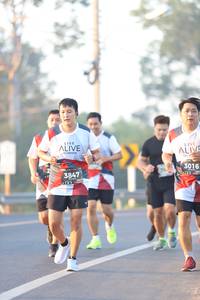 BIB: 3016, 3847
                            <button type="button" onclick="openModal(6513326)" class="btn btn-primary btn-sm float-right btn-popup" data-toggle="modal" data-target=".modal-high-quality">
                        <i class="fas fa-shopping-cart"></i> Add to Cart
                    </button>
                                            <button type="button" onclick="isThisMe(6513326, true)" class="btn btn-success btn-sm float-right btn-popup btn-isme hidden" data-toggle="tooltip" data-placement="bottom" title="นี่คือรูปของคุณใช่ไหม คลิกที่นี่เพื่อเอาเข้าอัลบั้ม">
                        <i class="fas fa-plus"></i> Add to album
                    </button>
                    <button type="button" onclick="isThisMe(6513326, false)" class="btn btn-warning btn-sm float-right btn-popup btn-isnotme hidden">
                        <i class="fas fa-ban"></i> Remove from album
                    </button>