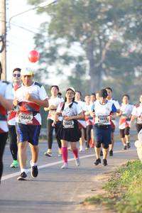 BIB: 7648, 6413, 7863
                            <button type="button" onclick="openModal(6513968)" class="btn btn-primary btn-sm float-right btn-popup" data-toggle="modal" data-target=".modal-high-quality">
                        <i class="fas fa-shopping-cart"></i> Add to Cart
                    </button>
                                            <button type="button" onclick="isThisMe(6513968, true)" class="btn btn-success btn-sm float-right btn-popup btn-isme hidden" data-toggle="tooltip" data-placement="bottom" title="นี่คือรูปของคุณใช่ไหม คลิกที่นี่เพื่อเอาเข้าอัลบั้ม">
                        <i class="fas fa-plus"></i> Add to album
                    </button>
                    <button type="button" onclick="isThisMe(6513968, false)" class="btn btn-warning btn-sm float-right btn-popup btn-isnotme hidden">
                        <i class="fas fa-ban"></i> Remove from album
                    </button>