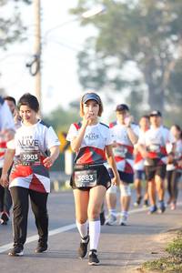 BIB: 3903, 3083
                            <button type="button" onclick="openModal(6513988)" class="btn btn-primary btn-sm float-right btn-popup" data-toggle="modal" data-target=".modal-high-quality">
                        <i class="fas fa-shopping-cart"></i> Add to Cart
                    </button>
                                            <button type="button" onclick="isThisMe(6513988, true)" class="btn btn-success btn-sm float-right btn-popup btn-isme hidden" data-toggle="tooltip" data-placement="bottom" title="นี่คือรูปของคุณใช่ไหม คลิกที่นี่เพื่อเอาเข้าอัลบั้ม">
                        <i class="fas fa-plus"></i> Add to album
                    </button>
                    <button type="button" onclick="isThisMe(6513988, false)" class="btn btn-warning btn-sm float-right btn-popup btn-isnotme hidden">
                        <i class="fas fa-ban"></i> Remove from album
                    </button>