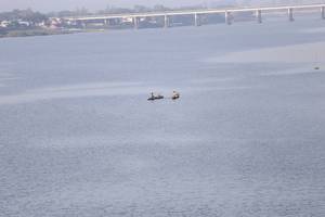 BIB: 
                            <button type="button" onclick="openModal(6426858)" class="btn btn-primary btn-sm float-right btn-popup" data-toggle="modal" data-target=".modal-high-quality">
                        <i class="fas fa-shopping-cart"></i> Add to Cart
                    </button>
                                            <button type="button" onclick="isThisMe(6426858, true)" class="btn btn-success btn-sm float-right btn-popup btn-isme hidden" data-toggle="tooltip" data-placement="bottom" title="นี่คือรูปของคุณใช่ไหม คลิกที่นี่เพื่อเอาเข้าอัลบั้ม">
                        <i class="fas fa-plus"></i> Add to album
                    </button>
                    <button type="button" onclick="isThisMe(6426858, false)" class="btn btn-warning btn-sm float-right btn-popup btn-isnotme hidden">
                        <i class="fas fa-ban"></i> Remove from album
                    </button>