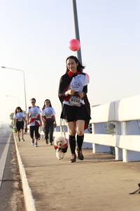 BIB: 6106
                            <button type="button" onclick="openModal(6426726)" class="btn btn-primary btn-sm float-right btn-popup" data-toggle="modal" data-target=".modal-high-quality">
                        <i class="fas fa-shopping-cart"></i> Add to Cart
                    </button>
                                            <button type="button" onclick="isThisMe(6426726, true)" class="btn btn-success btn-sm float-right btn-popup btn-isme hidden" data-toggle="tooltip" data-placement="bottom" title="นี่คือรูปของคุณใช่ไหม คลิกที่นี่เพื่อเอาเข้าอัลบั้ม">
                        <i class="fas fa-plus"></i> Add to album
                    </button>
                    <button type="button" onclick="isThisMe(6426726, false)" class="btn btn-warning btn-sm float-right btn-popup btn-isnotme hidden">
                        <i class="fas fa-ban"></i> Remove from album
                    </button>