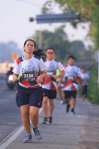 BIB: 3156, 
                            <button type="button" onclick="openModal(6389585)" class="btn btn-primary btn-sm float-right btn-popup" data-toggle="modal" data-target=".modal-high-quality">
                        <i class="fas fa-shopping-cart"></i> Add to Cart
                    </button>
                                            <button type="button" onclick="isThisMe(6389585, true)" class="btn btn-success btn-sm float-right btn-popup btn-isme hidden" data-toggle="tooltip" data-placement="bottom" title="นี่คือรูปของคุณใช่ไหม คลิกที่นี่เพื่อเอาเข้าอัลบั้ม">
                        <i class="fas fa-plus"></i> Add to album
                    </button>
                    <button type="button" onclick="isThisMe(6389585, false)" class="btn btn-warning btn-sm float-right btn-popup btn-isnotme hidden">
                        <i class="fas fa-ban"></i> Remove from album
                    </button>