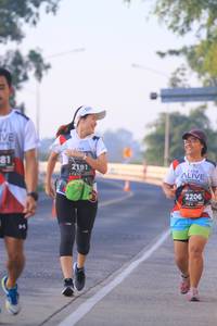 BIB: 2191, 2206
                            <button type="button" onclick="openModal(6390145)" class="btn btn-primary btn-sm float-right btn-popup" data-toggle="modal" data-target=".modal-high-quality">
                        <i class="fas fa-shopping-cart"></i> Add to Cart
                    </button>
                                            <button type="button" onclick="isThisMe(6390145, true)" class="btn btn-success btn-sm float-right btn-popup btn-isme hidden" data-toggle="tooltip" data-placement="bottom" title="นี่คือรูปของคุณใช่ไหม คลิกที่นี่เพื่อเอาเข้าอัลบั้ม">
                        <i class="fas fa-plus"></i> Add to album
                    </button>
                    <button type="button" onclick="isThisMe(6390145, false)" class="btn btn-warning btn-sm float-right btn-popup btn-isnotme hidden">
                        <i class="fas fa-ban"></i> Remove from album
                    </button>