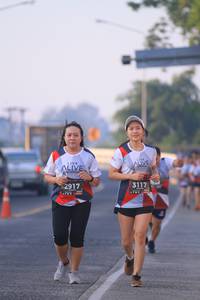 BIB: 3117, 2917
                            <button type="button" onclick="openModal(6388739)" class="btn btn-primary btn-sm float-right btn-popup" data-toggle="modal" data-target=".modal-high-quality">
                        <i class="fas fa-shopping-cart"></i> Add to Cart
                    </button>
                                            <button type="button" onclick="isThisMe(6388739, true)" class="btn btn-success btn-sm float-right btn-popup btn-isme hidden" data-toggle="tooltip" data-placement="bottom" title="นี่คือรูปของคุณใช่ไหม คลิกที่นี่เพื่อเอาเข้าอัลบั้ม">
                        <i class="fas fa-plus"></i> Add to album
                    </button>
                    <button type="button" onclick="isThisMe(6388739, false)" class="btn btn-warning btn-sm float-right btn-popup btn-isnotme hidden">
                        <i class="fas fa-ban"></i> Remove from album
                    </button>