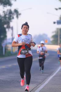 BIB: 3878
                            <button type="button" onclick="openModal(6387791)" class="btn btn-primary btn-sm float-right btn-popup" data-toggle="modal" data-target=".modal-high-quality">
                        <i class="fas fa-shopping-cart"></i> Add to Cart
                    </button>
                                            <button type="button" onclick="isThisMe(6387791, true)" class="btn btn-success btn-sm float-right btn-popup btn-isme hidden" data-toggle="tooltip" data-placement="bottom" title="นี่คือรูปของคุณใช่ไหม คลิกที่นี่เพื่อเอาเข้าอัลบั้ม">
                        <i class="fas fa-plus"></i> Add to album
                    </button>
                    <button type="button" onclick="isThisMe(6387791, false)" class="btn btn-warning btn-sm float-right btn-popup btn-isnotme hidden">
                        <i class="fas fa-ban"></i> Remove from album
                    </button>