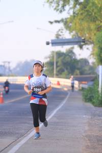 BIB: 2640
                            <button type="button" onclick="openModal(6390827)" class="btn btn-primary btn-sm float-right btn-popup" data-toggle="modal" data-target=".modal-high-quality">
                        <i class="fas fa-shopping-cart"></i> Add to Cart
                    </button>
                                            <button type="button" onclick="isThisMe(6390827, true)" class="btn btn-success btn-sm float-right btn-popup btn-isme hidden" data-toggle="tooltip" data-placement="bottom" title="นี่คือรูปของคุณใช่ไหม คลิกที่นี่เพื่อเอาเข้าอัลบั้ม">
                        <i class="fas fa-plus"></i> Add to album
                    </button>
                    <button type="button" onclick="isThisMe(6390827, false)" class="btn btn-warning btn-sm float-right btn-popup btn-isnotme hidden">
                        <i class="fas fa-ban"></i> Remove from album
                    </button>