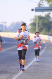 BIB: 2644
                            <button type="button" onclick="openModal(6391331)" class="btn btn-primary btn-sm float-right btn-popup" data-toggle="modal" data-target=".modal-high-quality">
                        <i class="fas fa-shopping-cart"></i> Add to Cart
                    </button>
                                            <button type="button" onclick="isThisMe(6391331, true)" class="btn btn-success btn-sm float-right btn-popup btn-isme hidden" data-toggle="tooltip" data-placement="bottom" title="นี่คือรูปของคุณใช่ไหม คลิกที่นี่เพื่อเอาเข้าอัลบั้ม">
                        <i class="fas fa-plus"></i> Add to album
                    </button>
                    <button type="button" onclick="isThisMe(6391331, false)" class="btn btn-warning btn-sm float-right btn-popup btn-isnotme hidden">
                        <i class="fas fa-ban"></i> Remove from album
                    </button>