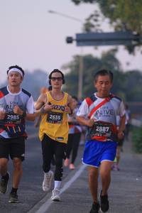 BIB: 2635, 2985, 2887
                            <button type="button" onclick="openModal(6386226)" class="btn btn-primary btn-sm float-right btn-popup" data-toggle="modal" data-target=".modal-high-quality">
                        <i class="fas fa-shopping-cart"></i> Add to Cart
                    </button>
                                            <button type="button" onclick="isThisMe(6386226, true)" class="btn btn-success btn-sm float-right btn-popup btn-isme hidden" data-toggle="tooltip" data-placement="bottom" title="นี่คือรูปของคุณใช่ไหม คลิกที่นี่เพื่อเอาเข้าอัลบั้ม">
                        <i class="fas fa-plus"></i> Add to album
                    </button>
                    <button type="button" onclick="isThisMe(6386226, false)" class="btn btn-warning btn-sm float-right btn-popup btn-isnotme hidden">
                        <i class="fas fa-ban"></i> Remove from album
                    </button>