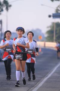 BIB: 3903, 3902, 3083, 114
                            <button type="button" onclick="openModal(6388170)" class="btn btn-primary btn-sm float-right btn-popup" data-toggle="modal" data-target=".modal-high-quality">
                        <i class="fas fa-shopping-cart"></i> Add to Cart
                    </button>
                                            <button type="button" onclick="isThisMe(6388170, true)" class="btn btn-success btn-sm float-right btn-popup btn-isme hidden" data-toggle="tooltip" data-placement="bottom" title="นี่คือรูปของคุณใช่ไหม คลิกที่นี่เพื่อเอาเข้าอัลบั้ม">
                        <i class="fas fa-plus"></i> Add to album
                    </button>
                    <button type="button" onclick="isThisMe(6388170, false)" class="btn btn-warning btn-sm float-right btn-popup btn-isnotme hidden">
                        <i class="fas fa-ban"></i> Remove from album
                    </button>