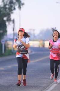 BIB: 3137
                            <button type="button" onclick="openModal(6391111)" class="btn btn-primary btn-sm float-right btn-popup" data-toggle="modal" data-target=".modal-high-quality">
                        <i class="fas fa-shopping-cart"></i> Add to Cart
                    </button>
                                            <button type="button" onclick="isThisMe(6391111, true)" class="btn btn-success btn-sm float-right btn-popup btn-isme hidden" data-toggle="tooltip" data-placement="bottom" title="นี่คือรูปของคุณใช่ไหม คลิกที่นี่เพื่อเอาเข้าอัลบั้ม">
                        <i class="fas fa-plus"></i> Add to album
                    </button>
                    <button type="button" onclick="isThisMe(6391111, false)" class="btn btn-warning btn-sm float-right btn-popup btn-isnotme hidden">
                        <i class="fas fa-ban"></i> Remove from album
                    </button>