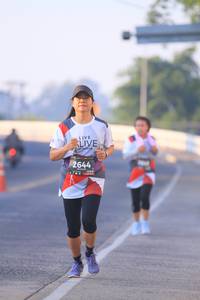 BIB: 2644
                            <button type="button" onclick="openModal(6391344)" class="btn btn-primary btn-sm float-right btn-popup" data-toggle="modal" data-target=".modal-high-quality">
                        <i class="fas fa-shopping-cart"></i> Add to Cart
                    </button>
                                            <button type="button" onclick="isThisMe(6391344, true)" class="btn btn-success btn-sm float-right btn-popup btn-isme hidden" data-toggle="tooltip" data-placement="bottom" title="นี่คือรูปของคุณใช่ไหม คลิกที่นี่เพื่อเอาเข้าอัลบั้ม">
                        <i class="fas fa-plus"></i> Add to album
                    </button>
                    <button type="button" onclick="isThisMe(6391344, false)" class="btn btn-warning btn-sm float-right btn-popup btn-isnotme hidden">
                        <i class="fas fa-ban"></i> Remove from album
                    </button>