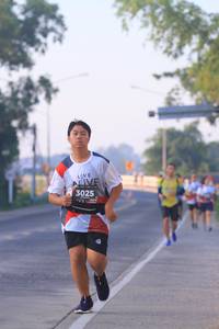 BIB: 3025
                            <button type="button" onclick="openModal(6389486)" class="btn btn-primary btn-sm float-right btn-popup" data-toggle="modal" data-target=".modal-high-quality">
                        <i class="fas fa-shopping-cart"></i> Add to Cart
                    </button>
                                            <button type="button" onclick="isThisMe(6389486, true)" class="btn btn-success btn-sm float-right btn-popup btn-isme hidden" data-toggle="tooltip" data-placement="bottom" title="นี่คือรูปของคุณใช่ไหม คลิกที่นี่เพื่อเอาเข้าอัลบั้ม">
                        <i class="fas fa-plus"></i> Add to album
                    </button>
                    <button type="button" onclick="isThisMe(6389486, false)" class="btn btn-warning btn-sm float-right btn-popup btn-isnotme hidden">
                        <i class="fas fa-ban"></i> Remove from album
                    </button>