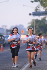 BIB: 2917, 3117
                            <button type="button" onclick="openModal(6388744)" class="btn btn-primary btn-sm float-right btn-popup" data-toggle="modal" data-target=".modal-high-quality">
                        <i class="fas fa-shopping-cart"></i> Add to Cart
                    </button>
                                            <button type="button" onclick="isThisMe(6388744, true)" class="btn btn-success btn-sm float-right btn-popup btn-isme hidden" data-toggle="tooltip" data-placement="bottom" title="นี่คือรูปของคุณใช่ไหม คลิกที่นี่เพื่อเอาเข้าอัลบั้ม">
                        <i class="fas fa-plus"></i> Add to album
                    </button>
                    <button type="button" onclick="isThisMe(6388744, false)" class="btn btn-warning btn-sm float-right btn-popup btn-isnotme hidden">
                        <i class="fas fa-ban"></i> Remove from album
                    </button>