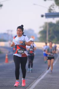 BIB: 3878
                            <button type="button" onclick="openModal(6387758)" class="btn btn-primary btn-sm float-right btn-popup" data-toggle="modal" data-target=".modal-high-quality">
                        <i class="fas fa-shopping-cart"></i> Add to Cart
                    </button>
                                            <button type="button" onclick="isThisMe(6387758, true)" class="btn btn-success btn-sm float-right btn-popup btn-isme hidden" data-toggle="tooltip" data-placement="bottom" title="นี่คือรูปของคุณใช่ไหม คลิกที่นี่เพื่อเอาเข้าอัลบั้ม">
                        <i class="fas fa-plus"></i> Add to album
                    </button>
                    <button type="button" onclick="isThisMe(6387758, false)" class="btn btn-warning btn-sm float-right btn-popup btn-isnotme hidden">
                        <i class="fas fa-ban"></i> Remove from album
                    </button>