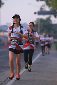 BIB: 197, 3823, 
                            <button type="button" onclick="openModal(6386966)" class="btn btn-primary btn-sm float-right btn-popup" data-toggle="modal" data-target=".modal-high-quality">
                        <i class="fas fa-shopping-cart"></i> Add to Cart
                    </button>
                                            <button type="button" onclick="isThisMe(6386966, true)" class="btn btn-success btn-sm float-right btn-popup btn-isme hidden" data-toggle="tooltip" data-placement="bottom" title="นี่คือรูปของคุณใช่ไหม คลิกที่นี่เพื่อเอาเข้าอัลบั้ม">
                        <i class="fas fa-plus"></i> Add to album
                    </button>
                    <button type="button" onclick="isThisMe(6386966, false)" class="btn btn-warning btn-sm float-right btn-popup btn-isnotme hidden">
                        <i class="fas fa-ban"></i> Remove from album
                    </button>