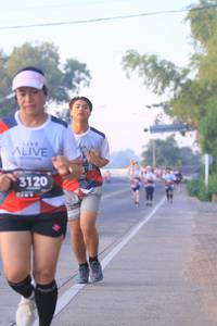 BIB: 3120
                            <button type="button" onclick="openModal(6385606)" class="btn btn-primary btn-sm float-right btn-popup" data-toggle="modal" data-target=".modal-high-quality">
                        <i class="fas fa-shopping-cart"></i> Add to Cart
                    </button>
                                            <button type="button" onclick="isThisMe(6385606, true)" class="btn btn-success btn-sm float-right btn-popup btn-isme hidden" data-toggle="tooltip" data-placement="bottom" title="นี่คือรูปของคุณใช่ไหม คลิกที่นี่เพื่อเอาเข้าอัลบั้ม">
                        <i class="fas fa-plus"></i> Add to album
                    </button>
                    <button type="button" onclick="isThisMe(6385606, false)" class="btn btn-warning btn-sm float-right btn-popup btn-isnotme hidden">
                        <i class="fas fa-ban"></i> Remove from album
                    </button>