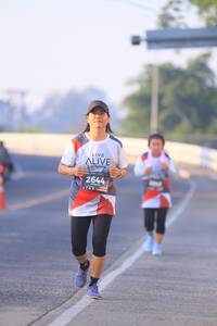 BIB: 2644
                            <button type="button" onclick="openModal(6391339)" class="btn btn-primary btn-sm float-right btn-popup" data-toggle="modal" data-target=".modal-high-quality">
                        <i class="fas fa-shopping-cart"></i> Add to Cart
                    </button>
                                            <button type="button" onclick="isThisMe(6391339, true)" class="btn btn-success btn-sm float-right btn-popup btn-isme hidden" data-toggle="tooltip" data-placement="bottom" title="นี่คือรูปของคุณใช่ไหม คลิกที่นี่เพื่อเอาเข้าอัลบั้ม">
                        <i class="fas fa-plus"></i> Add to album
                    </button>
                    <button type="button" onclick="isThisMe(6391339, false)" class="btn btn-warning btn-sm float-right btn-popup btn-isnotme hidden">
                        <i class="fas fa-ban"></i> Remove from album
                    </button>