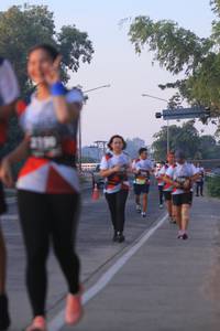 BIB: 
                            <button type="button" onclick="openModal(6386399)" class="btn btn-primary btn-sm float-right btn-popup" data-toggle="modal" data-target=".modal-high-quality">
                        <i class="fas fa-shopping-cart"></i> Add to Cart
                    </button>
                                            <button type="button" onclick="isThisMe(6386399, true)" class="btn btn-success btn-sm float-right btn-popup btn-isme hidden" data-toggle="tooltip" data-placement="bottom" title="นี่คือรูปของคุณใช่ไหม คลิกที่นี่เพื่อเอาเข้าอัลบั้ม">
                        <i class="fas fa-plus"></i> Add to album
                    </button>
                    <button type="button" onclick="isThisMe(6386399, false)" class="btn btn-warning btn-sm float-right btn-popup btn-isnotme hidden">
                        <i class="fas fa-ban"></i> Remove from album
                    </button>