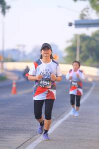 BIB: 2644
                            <button type="button" onclick="openModal(6391348)" class="btn btn-primary btn-sm float-right btn-popup" data-toggle="modal" data-target=".modal-high-quality">
                        <i class="fas fa-shopping-cart"></i> Add to Cart
                    </button>
                                            <button type="button" onclick="isThisMe(6391348, true)" class="btn btn-success btn-sm float-right btn-popup btn-isme hidden" data-toggle="tooltip" data-placement="bottom" title="นี่คือรูปของคุณใช่ไหม คลิกที่นี่เพื่อเอาเข้าอัลบั้ม">
                        <i class="fas fa-plus"></i> Add to album
                    </button>
                    <button type="button" onclick="isThisMe(6391348, false)" class="btn btn-warning btn-sm float-right btn-popup btn-isnotme hidden">
                        <i class="fas fa-ban"></i> Remove from album
                    </button>