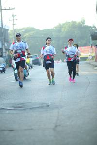 BIB: 2632, 3901
                            <button type="button" onclick="openModal(6452926)" class="btn btn-primary btn-sm float-right btn-popup" data-toggle="modal" data-target=".modal-high-quality">
                        <i class="fas fa-shopping-cart"></i> Add to Cart
                    </button>
                                            <button type="button" onclick="isThisMe(6452926, true)" class="btn btn-success btn-sm float-right btn-popup btn-isme hidden" data-toggle="tooltip" data-placement="bottom" title="นี่คือรูปของคุณใช่ไหม คลิกที่นี่เพื่อเอาเข้าอัลบั้ม">
                        <i class="fas fa-plus"></i> Add to album
                    </button>
                    <button type="button" onclick="isThisMe(6452926, false)" class="btn btn-warning btn-sm float-right btn-popup btn-isnotme hidden">
                        <i class="fas fa-ban"></i> Remove from album
                    </button>