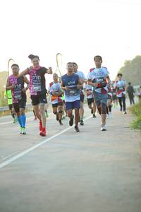 BIB: 3691, 2063, 2070, 3861
                            <button type="button" onclick="openModal(6442556)" class="btn btn-primary btn-sm float-right btn-popup" data-toggle="modal" data-target=".modal-high-quality">
                        <i class="fas fa-shopping-cart"></i> Add to Cart
                    </button>
                                            <button type="button" onclick="isThisMe(6442556, true)" class="btn btn-success btn-sm float-right btn-popup btn-isme hidden" data-toggle="tooltip" data-placement="bottom" title="นี่คือรูปของคุณใช่ไหม คลิกที่นี่เพื่อเอาเข้าอัลบั้ม">
                        <i class="fas fa-plus"></i> Add to album
                    </button>
                    <button type="button" onclick="isThisMe(6442556, false)" class="btn btn-warning btn-sm float-right btn-popup btn-isnotme hidden">
                        <i class="fas fa-ban"></i> Remove from album
                    </button>