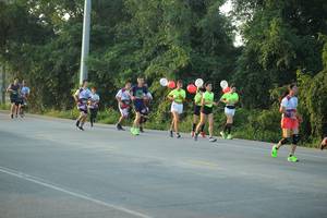 BIB: 
                            <button type="button" onclick="openModal(6444455)" class="btn btn-primary btn-sm float-right btn-popup" data-toggle="modal" data-target=".modal-high-quality">
                        <i class="fas fa-shopping-cart"></i> Add to Cart
                    </button>
                                            <button type="button" onclick="isThisMe(6444455, true)" class="btn btn-success btn-sm float-right btn-popup btn-isme hidden" data-toggle="tooltip" data-placement="bottom" title="นี่คือรูปของคุณใช่ไหม คลิกที่นี่เพื่อเอาเข้าอัลบั้ม">
                        <i class="fas fa-plus"></i> Add to album
                    </button>
                    <button type="button" onclick="isThisMe(6444455, false)" class="btn btn-warning btn-sm float-right btn-popup btn-isnotme hidden">
                        <i class="fas fa-ban"></i> Remove from album
                    </button>