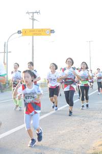 BIB: 7316, 674, 6774
                            <button type="button" onclick="openModal(6483248)" class="btn btn-primary btn-sm float-right btn-popup" data-toggle="modal" data-target=".modal-high-quality">
                        <i class="fas fa-shopping-cart"></i> Add to Cart
                    </button>
                                            <button type="button" onclick="isThisMe(6483248, true)" class="btn btn-success btn-sm float-right btn-popup btn-isme hidden" data-toggle="tooltip" data-placement="bottom" title="นี่คือรูปของคุณใช่ไหม คลิกที่นี่เพื่อเอาเข้าอัลบั้ม">
                        <i class="fas fa-plus"></i> Add to album
                    </button>
                    <button type="button" onclick="isThisMe(6483248, false)" class="btn btn-warning btn-sm float-right btn-popup btn-isnotme hidden">
                        <i class="fas fa-ban"></i> Remove from album
                    </button>