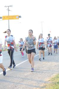 BIB: 7150, 3150, 6361
                            <button type="button" onclick="openModal(6484786)" class="btn btn-primary btn-sm float-right btn-popup" data-toggle="modal" data-target=".modal-high-quality">
                        <i class="fas fa-shopping-cart"></i> Add to Cart
                    </button>
                                            <button type="button" onclick="isThisMe(6484786, true)" class="btn btn-success btn-sm float-right btn-popup btn-isme hidden" data-toggle="tooltip" data-placement="bottom" title="นี่คือรูปของคุณใช่ไหม คลิกที่นี่เพื่อเอาเข้าอัลบั้ม">
                        <i class="fas fa-plus"></i> Add to album
                    </button>
                    <button type="button" onclick="isThisMe(6484786, false)" class="btn btn-warning btn-sm float-right btn-popup btn-isnotme hidden">
                        <i class="fas fa-ban"></i> Remove from album
                    </button>