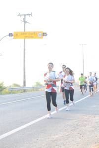 BIB: 7194, 7147
                            <button type="button" onclick="openModal(6483328)" class="btn btn-primary btn-sm float-right btn-popup" data-toggle="modal" data-target=".modal-high-quality">
                        <i class="fas fa-shopping-cart"></i> Add to Cart
                    </button>
                                            <button type="button" onclick="isThisMe(6483328, true)" class="btn btn-success btn-sm float-right btn-popup btn-isme hidden" data-toggle="tooltip" data-placement="bottom" title="นี่คือรูปของคุณใช่ไหม คลิกที่นี่เพื่อเอาเข้าอัลบั้ม">
                        <i class="fas fa-plus"></i> Add to album
                    </button>
                    <button type="button" onclick="isThisMe(6483328, false)" class="btn btn-warning btn-sm float-right btn-popup btn-isnotme hidden">
                        <i class="fas fa-ban"></i> Remove from album
                    </button>