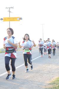 BIB: 7316
                            <button type="button" onclick="openModal(6483250)" class="btn btn-primary btn-sm float-right btn-popup" data-toggle="modal" data-target=".modal-high-quality">
                        <i class="fas fa-shopping-cart"></i> Add to Cart
                    </button>
                                            <button type="button" onclick="isThisMe(6483250, true)" class="btn btn-success btn-sm float-right btn-popup btn-isme hidden" data-toggle="tooltip" data-placement="bottom" title="นี่คือรูปของคุณใช่ไหม คลิกที่นี่เพื่อเอาเข้าอัลบั้ม">
                        <i class="fas fa-plus"></i> Add to album
                    </button>
                    <button type="button" onclick="isThisMe(6483250, false)" class="btn btn-warning btn-sm float-right btn-popup btn-isnotme hidden">
                        <i class="fas fa-ban"></i> Remove from album
                    </button>