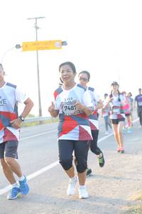 BIB: 7487
                            <button type="button" onclick="openModal(6483494)" class="btn btn-primary btn-sm float-right btn-popup" data-toggle="modal" data-target=".modal-high-quality">
                        <i class="fas fa-shopping-cart"></i> Add to Cart
                    </button>
                                            <button type="button" onclick="isThisMe(6483494, true)" class="btn btn-success btn-sm float-right btn-popup btn-isme hidden" data-toggle="tooltip" data-placement="bottom" title="นี่คือรูปของคุณใช่ไหม คลิกที่นี่เพื่อเอาเข้าอัลบั้ม">
                        <i class="fas fa-plus"></i> Add to album
                    </button>
                    <button type="button" onclick="isThisMe(6483494, false)" class="btn btn-warning btn-sm float-right btn-popup btn-isnotme hidden">
                        <i class="fas fa-ban"></i> Remove from album
                    </button>